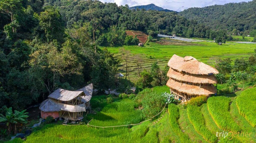 5 หมู่บ้านกลางป่า เชียงใหม่ หนีงานยุ่ง มุ่งไปเช่าป่าสักคืน