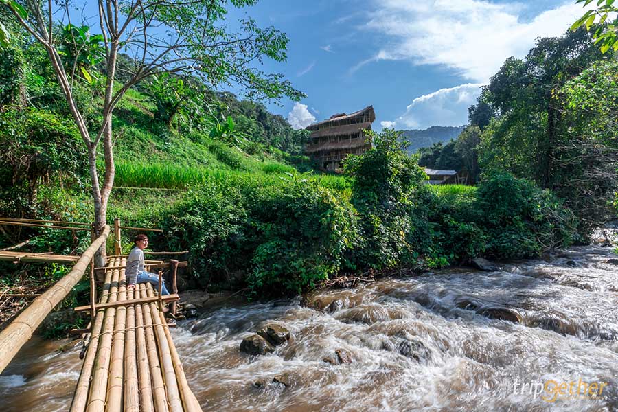 5 หมู่บ้านกลางป่า เชียงใหม่ หนีงานยุ่ง มุ่งไปเช่าป่าสักคืน