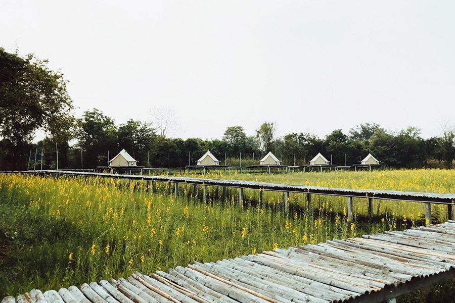 5 ที่พักกลางทุ่งนา หนีไปพักใจถ่ายรูปฟินช่วงกรีนซีซั่น!