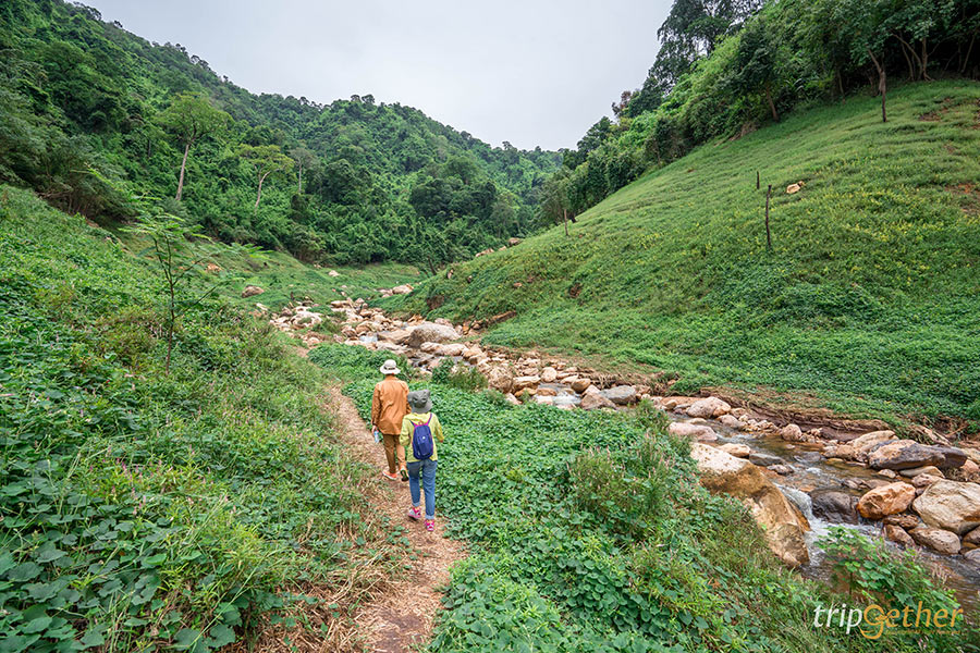 5 น้ำตกสวยพิกัดลับ โอบล้อมด้วยธรรมชาติ มุมถ่ายรูปฉ่ำ!
