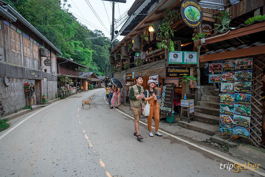 5 หมู่บ้านกลางป่า เชียงใหม่ หนีงานยุ่ง มุ่งไปเช่าป่าสักคืน