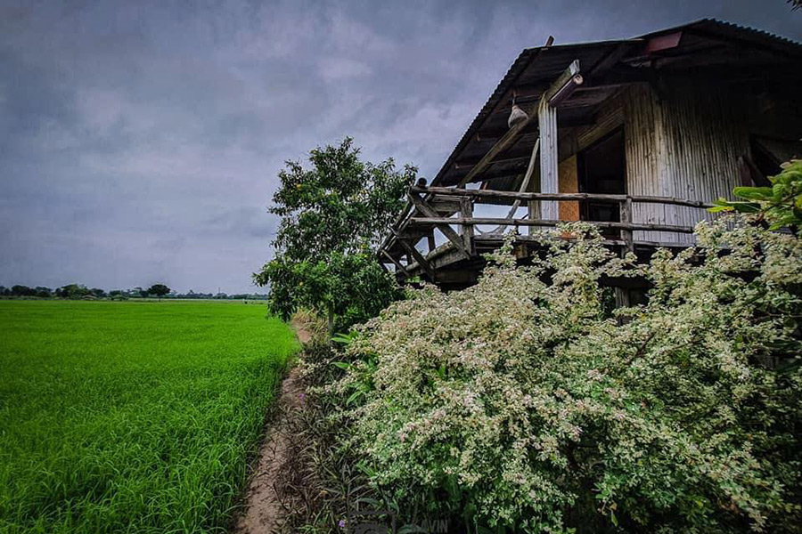 5 ที่พักกลางทุ่งนา หนีไปพักใจถ่ายรูปฟินช่วงกรีนซีซั่น!