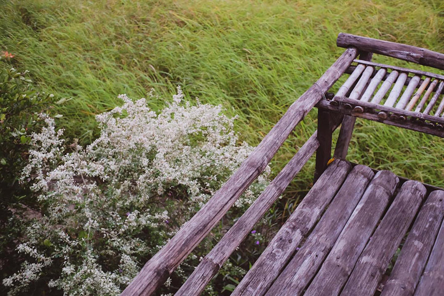 5 ที่พักกลางทุ่งนา หนีไปพักใจถ่ายรูปฟินช่วงกรีนซีซั่น!