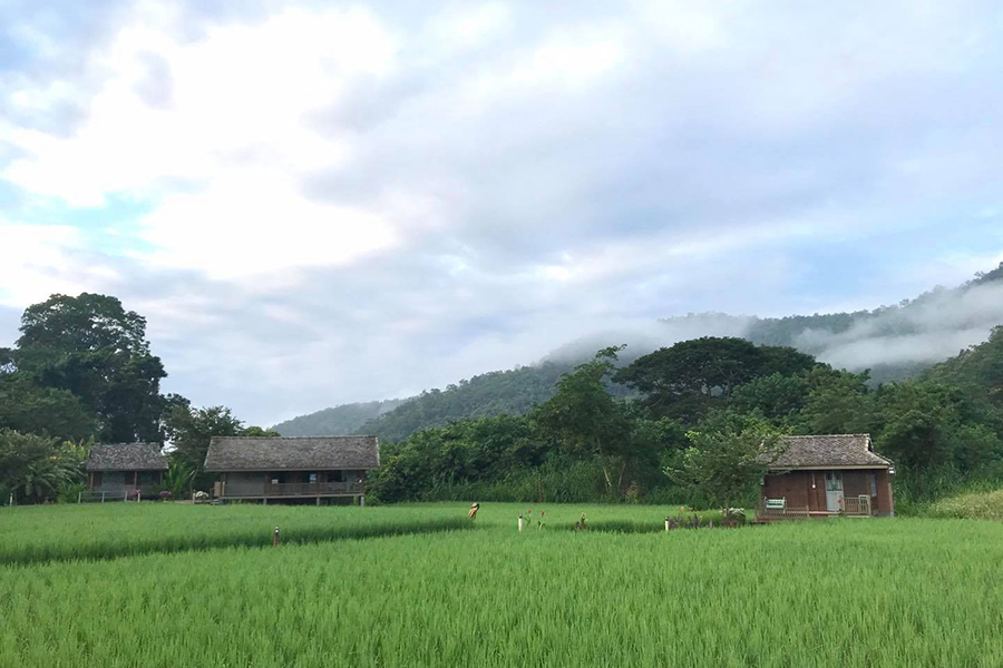 5 ที่พักกลางทุ่งนา หนีไปพักใจถ่ายรูปฟินช่วงกรีนซีซั่น!