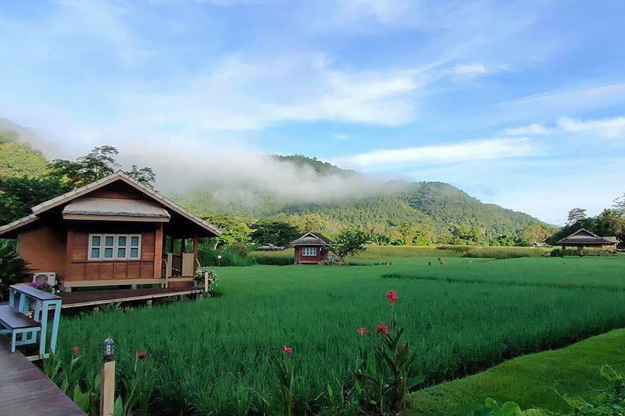 5 ที่พักกลางทุ่งนา หนีไปพักใจถ่ายรูปฟินช่วงกรีนซีซั่น!