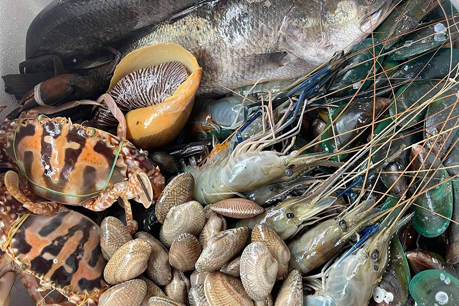 8 ร้านกล่องสุ่มอาหารทะเลแบบจัดเต็ม ได้กินสดๆ ส่งตรงถึงหน้าบ้าน