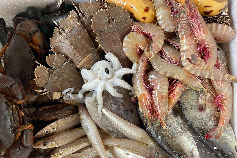 8 ร้านกล่องสุ่มอาหารทะเลแบบจัดเต็ม ได้กินสดๆ ส่งตรงถึงหน้าบ้าน