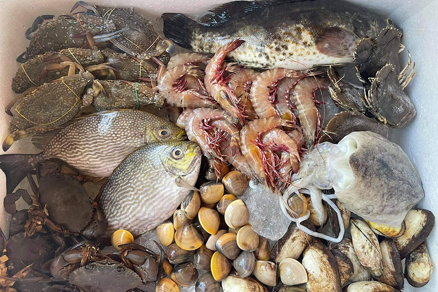 8 ร้านกล่องสุ่มอาหารทะเลแบบจัดเต็ม ได้กินสดๆ ส่งตรงถึงหน้าบ้าน