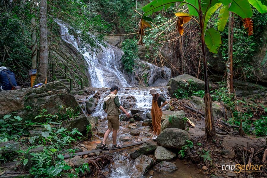 5 หมู่บ้านกลางป่า เชียงใหม่ หนีงานยุ่ง มุ่งไปเช่าป่าสักคืน