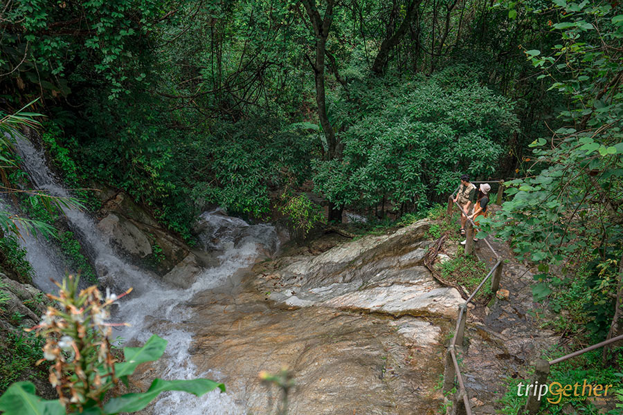 5 น้ำตกสวยพิกัดลับ โอบล้อมด้วยธรรมชาติ มุมถ่ายรูปฉ่ำ!