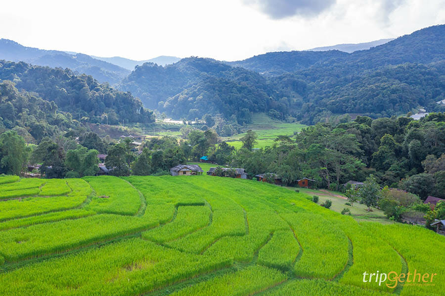 5 หมู่บ้านกลางป่า เชียงใหม่ หนีงานยุ่ง มุ่งไปเช่าป่าสักคืน