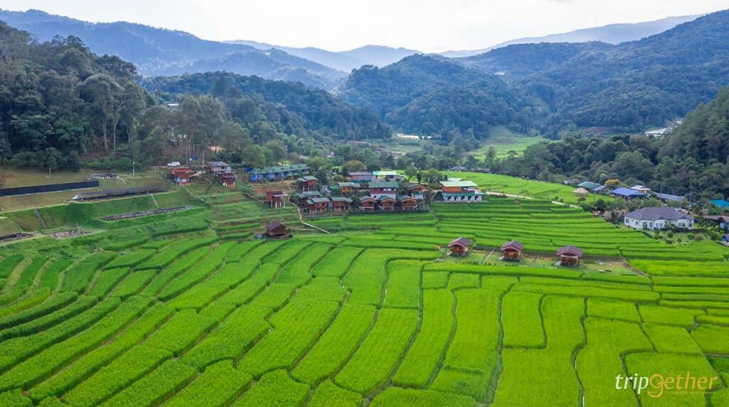 5 หมู่บ้านกลางป่า เชียงใหม่ หนีงานยุ่ง มุ่งไปเช่าป่าสักคืน