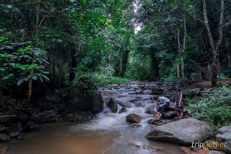5 หมู่บ้านกลางป่า เชียงใหม่ หนีงานยุ่ง มุ่งไปเช่าป่าสักคืน