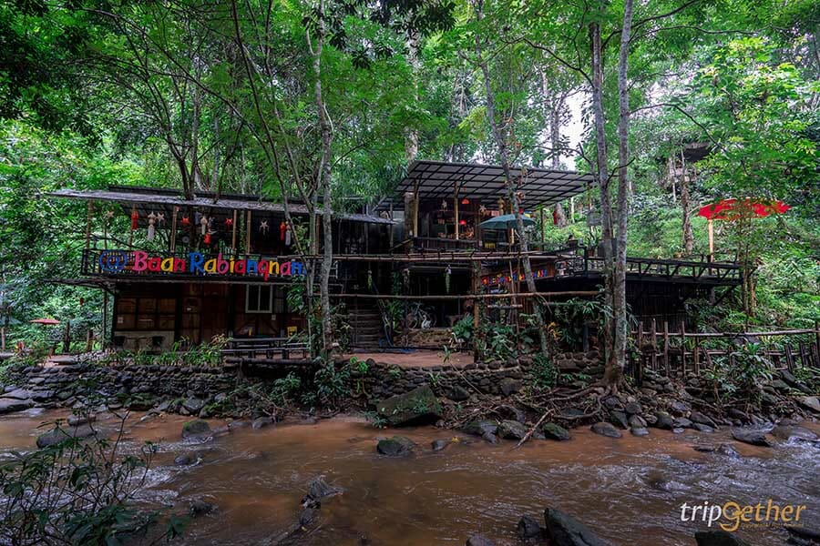 5 หมู่บ้านกลางป่า เชียงใหม่ หนีงานยุ่ง มุ่งไปเช่าป่าสักคืน