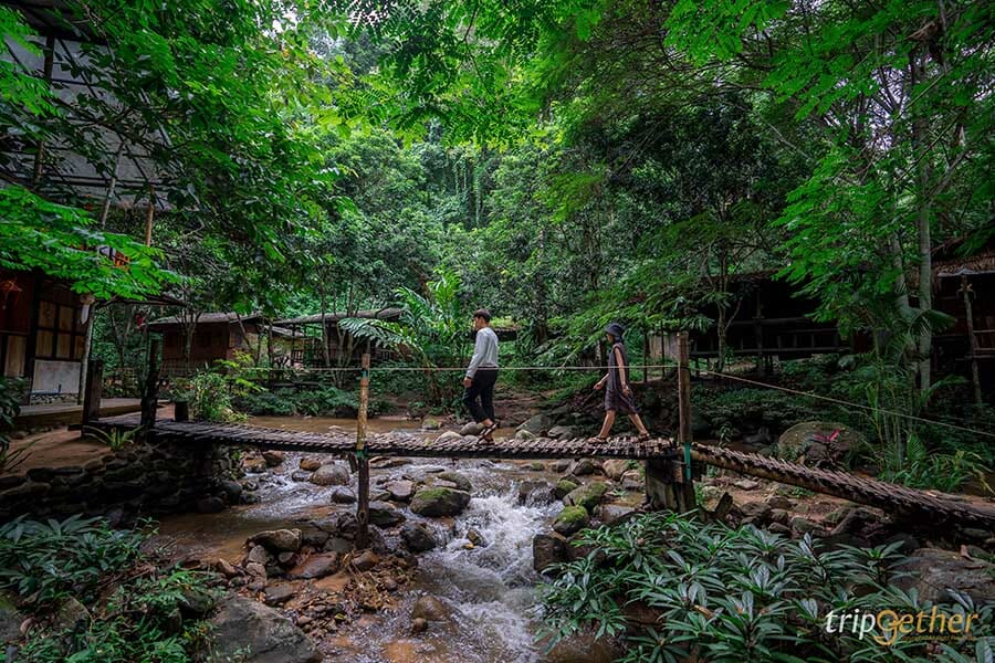 5 หมู่บ้านกลางป่า เชียงใหม่ หนีงานยุ่ง มุ่งไปเช่าป่าสักคืน