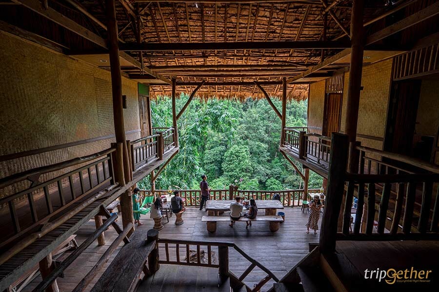 5 หมู่บ้านกลางป่า เชียงใหม่ หนีงานยุ่ง มุ่งไปเช่าป่าสักคืน