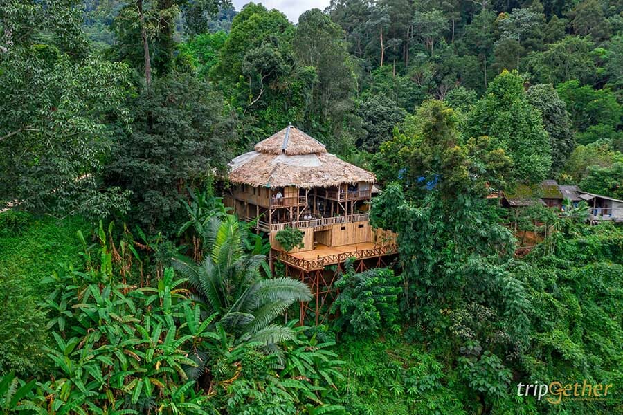 5 หมู่บ้านกลางป่า เชียงใหม่ หนีงานยุ่ง มุ่งไปเช่าป่าสักคืน