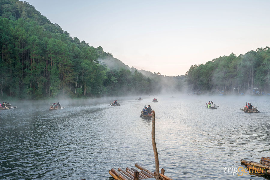 รวม 6 จุดเช็คอินป่าสน ที่หน้าฝนนี้ต้องไปรับความชุ่มฉ่ำ