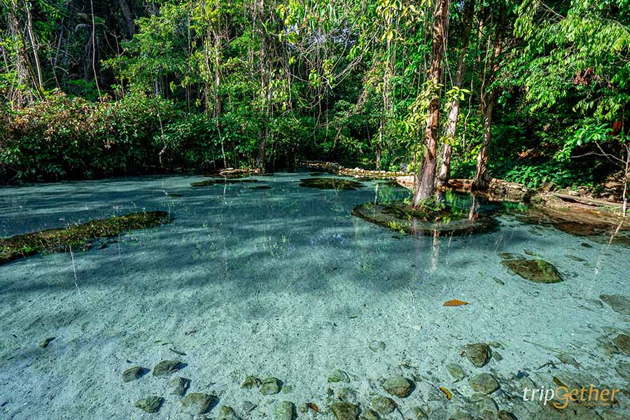 5 จุดเช็คอินน้ำใส บรรยากาศฟิน คนรักธรรมชาติต้องมา
