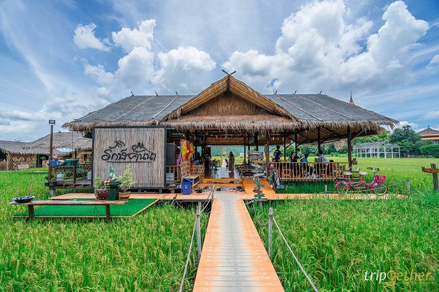 6 ร้านก๋วยเตี๋ยวกลางทุ่งนา นั่งชิลล์ท่ามกลางบรรยากาศสบาย