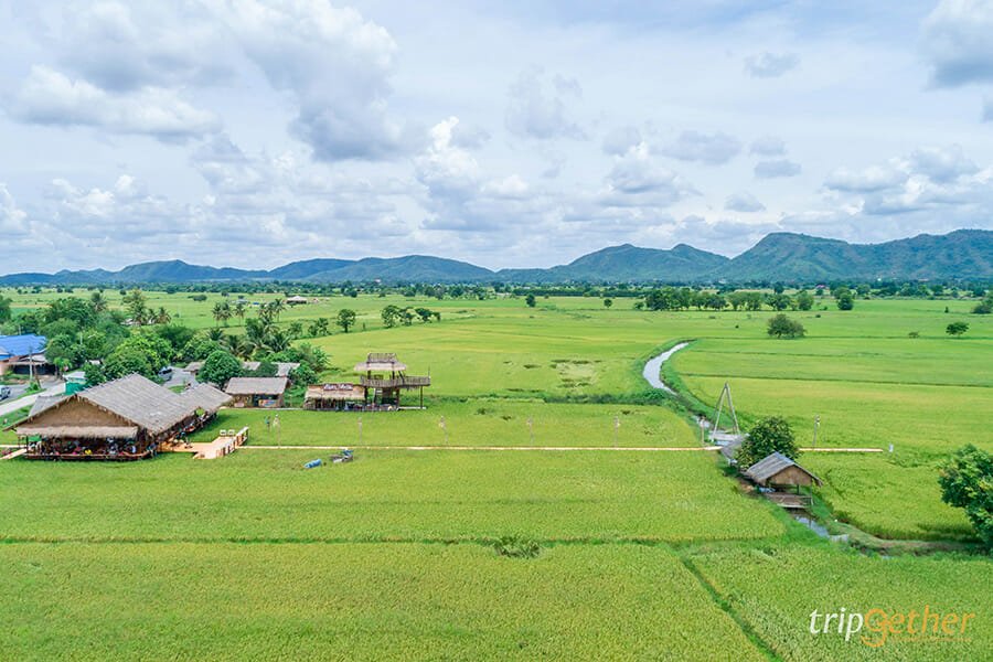 6 ร้านก๋วยเตี๋ยวกลางทุ่งนา นั่งชิลล์ท่ามกลางบรรยากาศสบาย