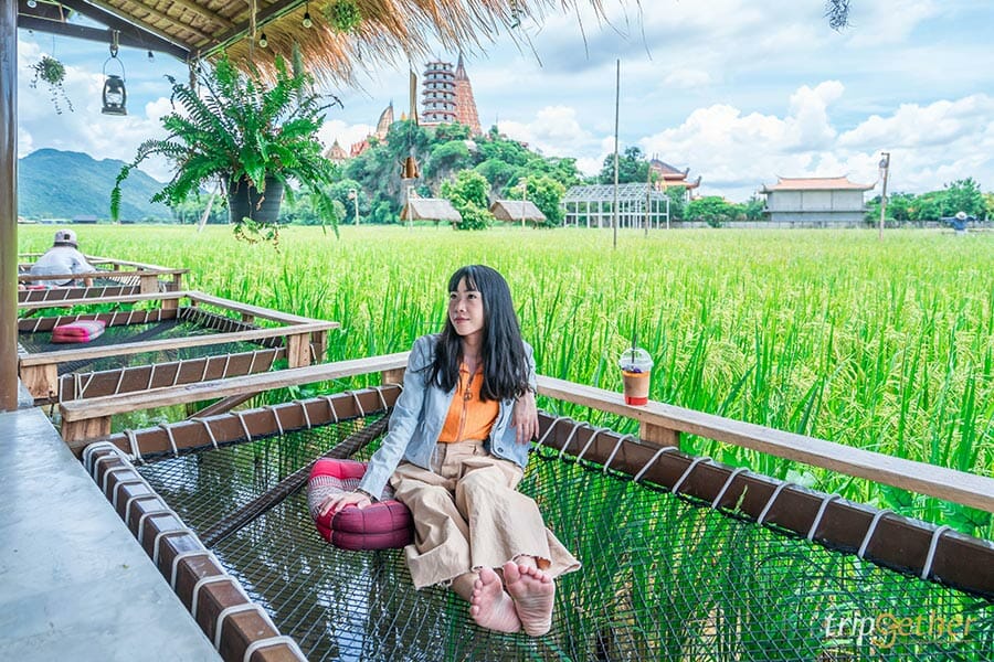 6 ร้านก๋วยเตี๋ยวกลางทุ่งนา นั่งชิลล์ท่ามกลางบรรยากาศสบาย