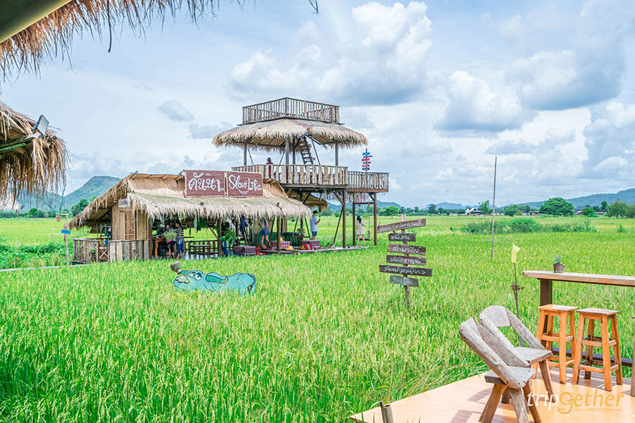 6 ร้านก๋วยเตี๋ยวกลางทุ่งนา นั่งชิลล์ท่ามกลางบรรยากาศสบาย