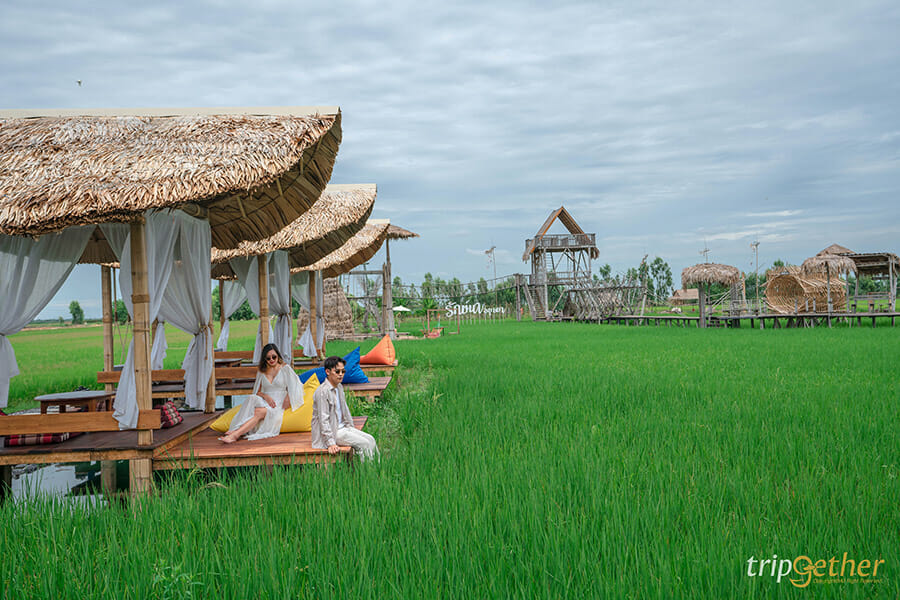 6 ร้านก๋วยเตี๋ยวกลางทุ่งนา นั่งชิลล์ท่ามกลางบรรยากาศสบาย