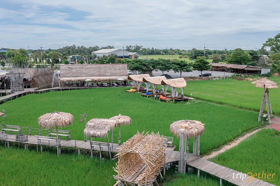 6 ร้านก๋วยเตี๋ยวกลางทุ่งนา นั่งชิลล์ท่ามกลางบรรยากาศสบาย