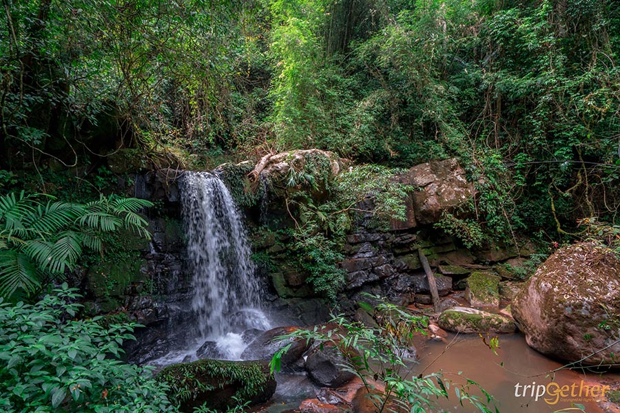 5 น้ำตกสวยพิกัดลับ โอบล้อมด้วยธรรมชาติ มุมถ่ายรูปฉ่ำ!