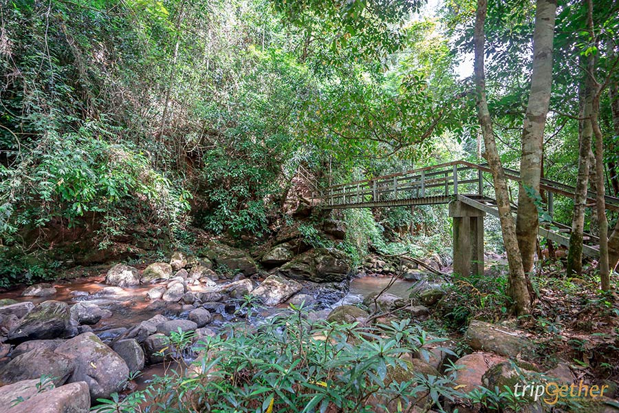 5 น้ำตกสวยพิกัดลับ โอบล้อมด้วยธรรมชาติ มุมถ่ายรูปฉ่ำ!