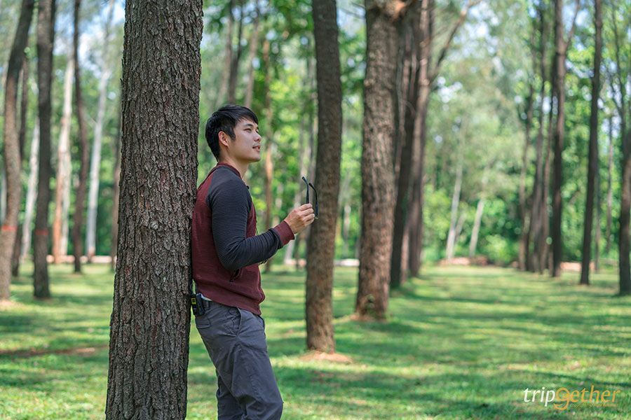 รวม 6 จุดเช็คอินป่าสน ที่หน้าฝนนี้ต้องไปรับความชุ่มฉ่ำ