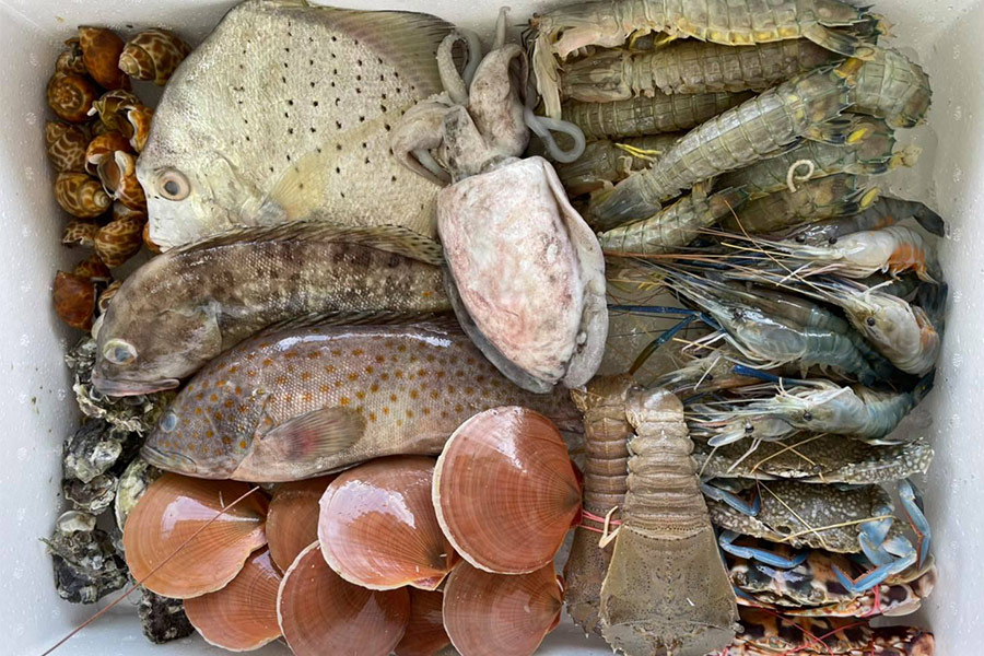 8 ร้านกล่องสุ่มอาหารทะเลแบบจัดเต็ม ได้กินสดๆ ส่งตรงถึงหน้าบ้าน