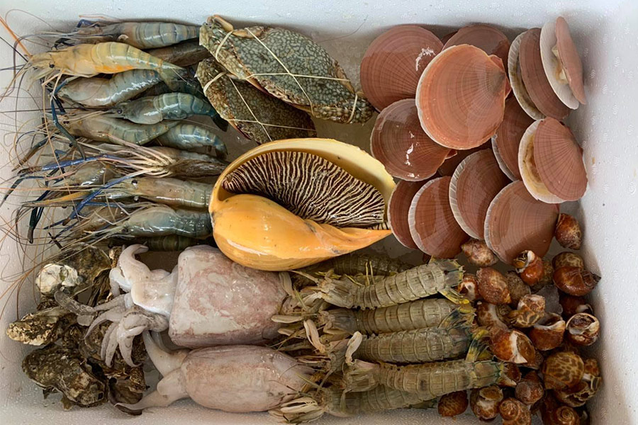 8 ร้านกล่องสุ่มอาหารทะเลแบบจัดเต็ม ได้กินสดๆ ส่งตรงถึงหน้าบ้าน