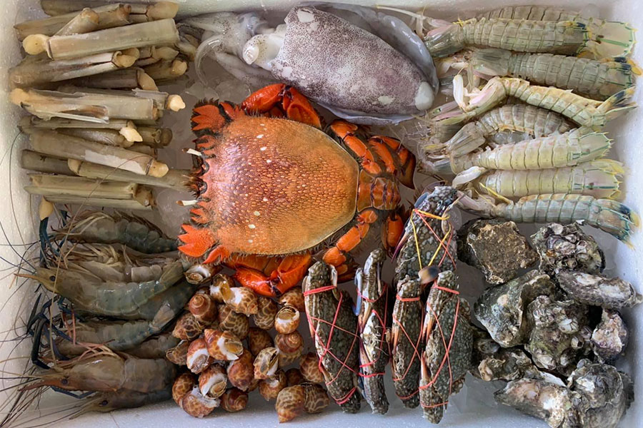 8 ร้านกล่องสุ่มอาหารทะเลแบบจัดเต็ม ได้กินสดๆ ส่งตรงถึงหน้าบ้าน