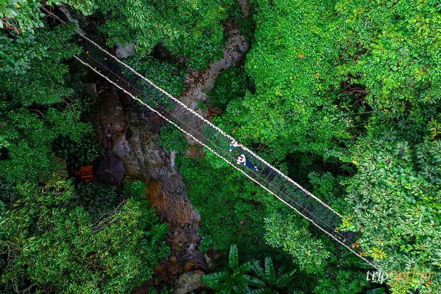 5 หมู่บ้านกลางป่า เชียงใหม่ หนีงานยุ่ง มุ่งไปเช่าป่าสักคืน