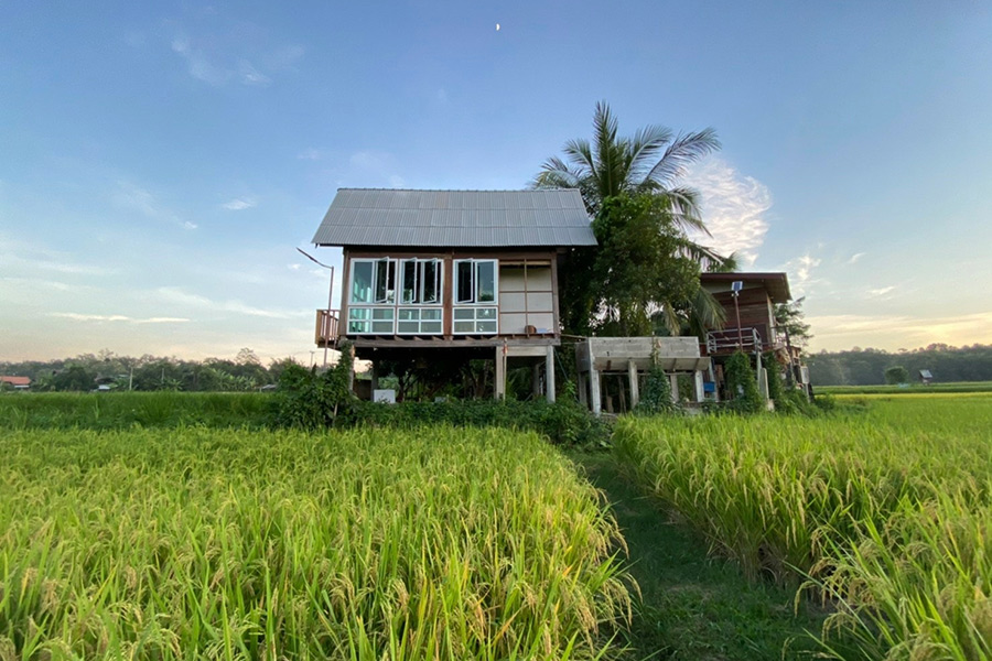 5 ที่พักกลางทุ่งนา หนีไปพักใจถ่ายรูปฟินช่วงกรีนซีซั่น!