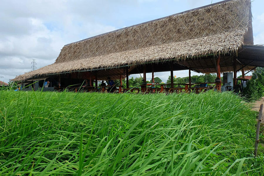 6 ร้านก๋วยเตี๋ยวกลางทุ่งนา นั่งชิลล์ท่ามกลางบรรยากาศสบาย