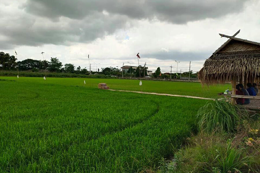 6 ร้านก๋วยเตี๋ยวกลางทุ่งนา นั่งชิลล์ท่ามกลางบรรยากาศสบาย