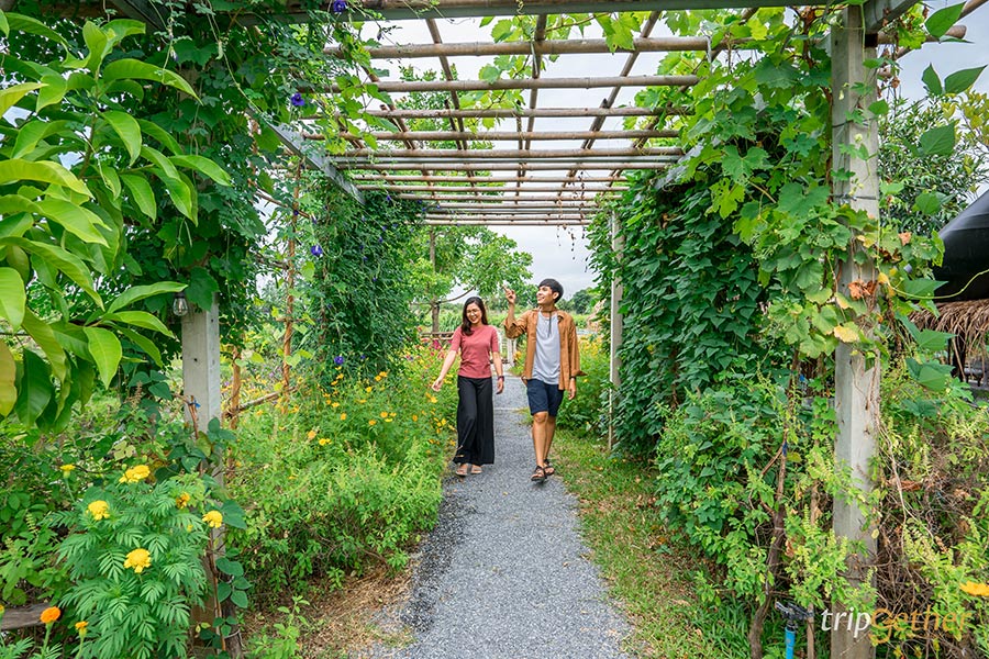 7 ร้านอาหารในสวนริมน้ำใกล้กรุงเทพ หนีไปสูดโอโซนกันให้ฉ่ำปอด!