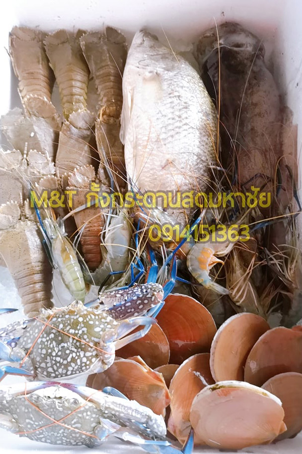 8 ร้านกล่องสุ่มอาหารทะเลแบบจัดเต็ม ได้กินสดๆ ส่งตรงถึงหน้าบ้าน