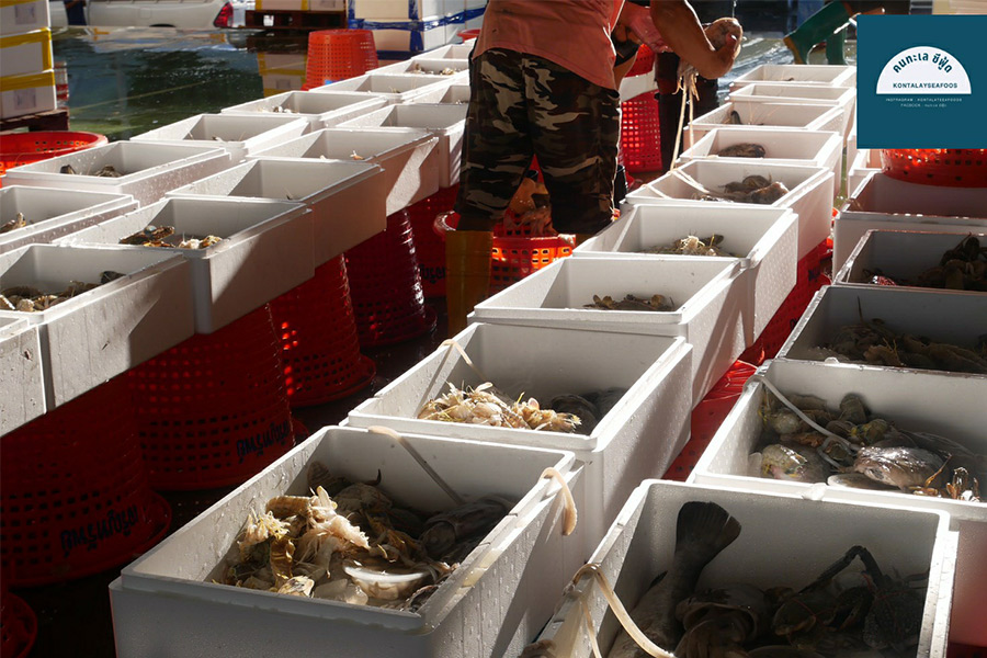 8 ร้านกล่องสุ่มอาหารทะเลแบบจัดเต็ม ได้กินสดๆ ส่งตรงถึงหน้าบ้าน