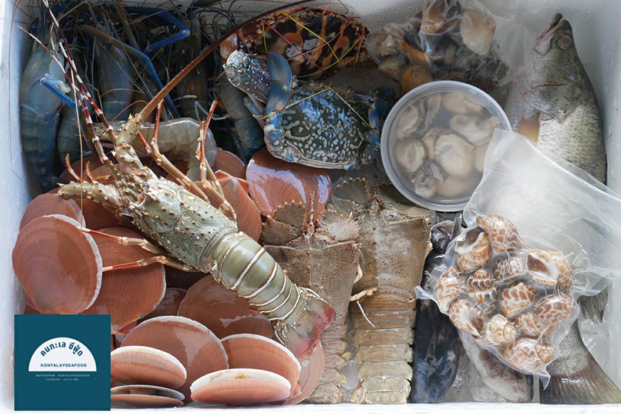 8 ร้านกล่องสุ่มอาหารทะเลแบบจัดเต็ม ได้กินสดๆ ส่งตรงถึงหน้าบ้าน