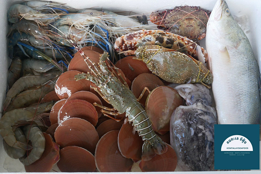 8 ร้านกล่องสุ่มอาหารทะเลแบบจัดเต็ม ได้กินสดๆ ส่งตรงถึงหน้าบ้าน