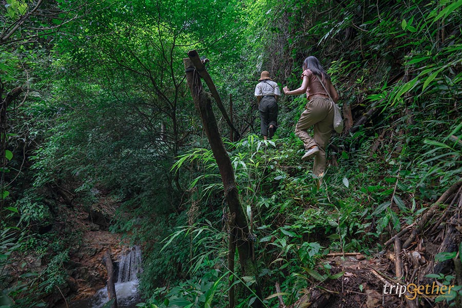 5 น้ำตกสวยพิกัดลับ โอบล้อมด้วยธรรมชาติ มุมถ่ายรูปฉ่ำ!