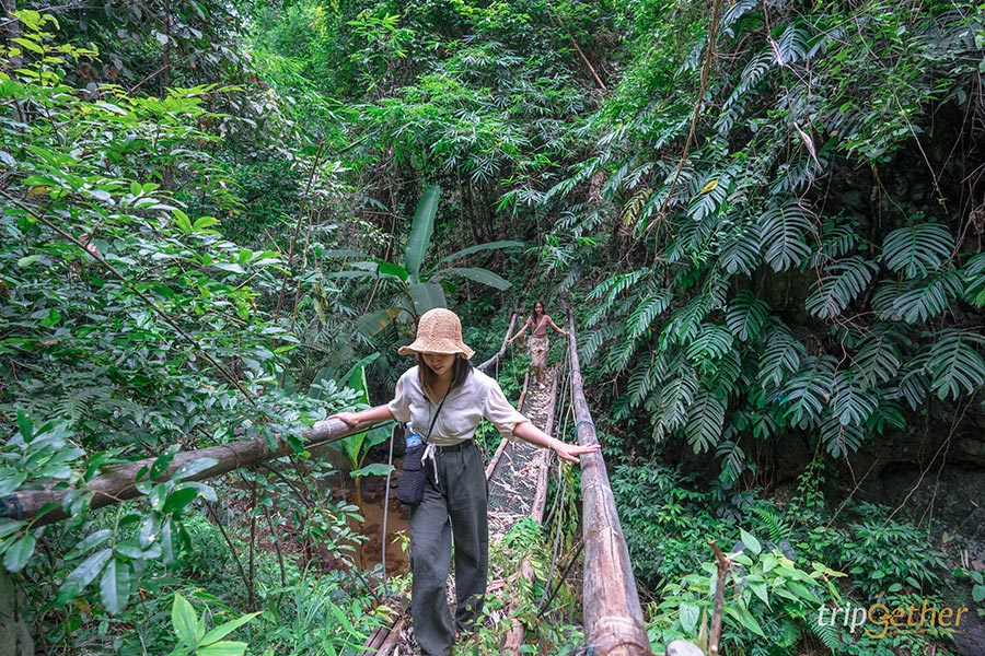 5 น้ำตกสวยพิกัดลับ โอบล้อมด้วยธรรมชาติ มุมถ่ายรูปฉ่ำ!