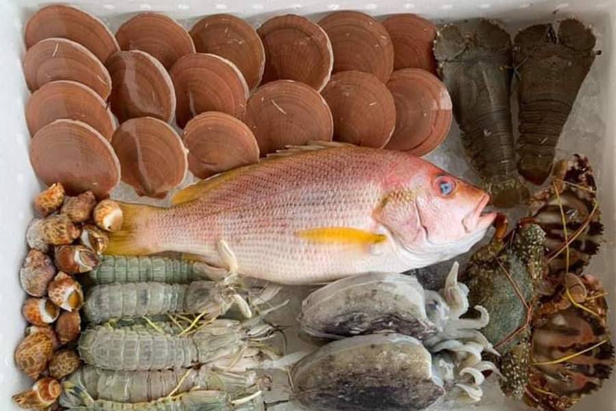 8 ร้านกล่องสุ่มอาหารทะเลแบบจัดเต็ม ได้กินสดๆ ส่งตรงถึงหน้าบ้าน