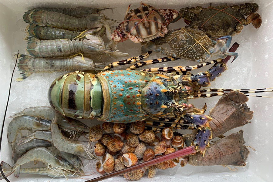 8 ร้านกล่องสุ่มอาหารทะเลแบบจัดเต็ม ได้กินสดๆ ส่งตรงถึงหน้าบ้าน