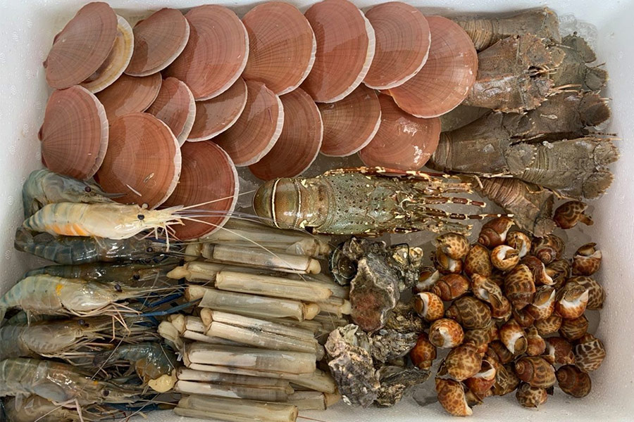 8 ร้านกล่องสุ่มอาหารทะเลแบบจัดเต็ม ได้กินสดๆ ส่งตรงถึงหน้าบ้าน