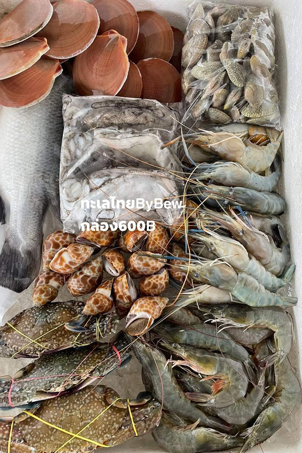 8 ร้านกล่องสุ่มอาหารทะเลแบบจัดเต็ม ได้กินสดๆ ส่งตรงถึงหน้าบ้าน